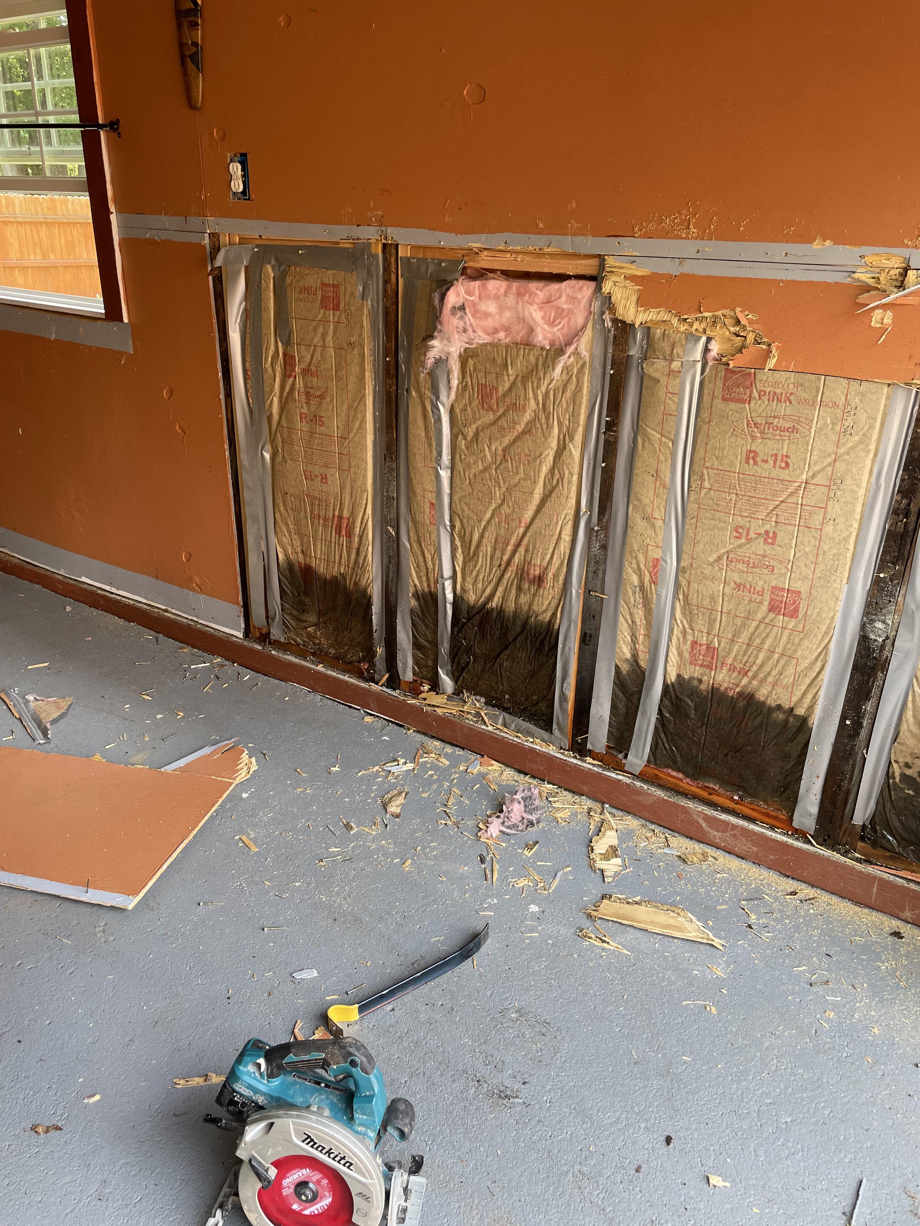 Professional mold removal and remediation work in a New Jersey basement